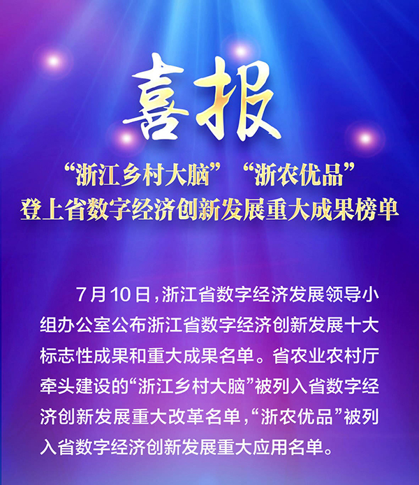 喜報(bào)！“浙江鄉(xiāng)村大腦”登上省數(shù)字經(jīng)濟(jì)創(chuàng)新發(fā)展重大成果榜單