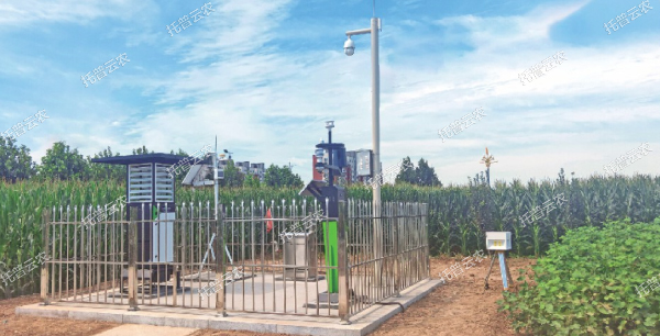 實時采集制種基地農(nóng)情、墑情、病情、蟲情數(shù)據(jù)信息